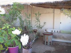 Riad Maizie