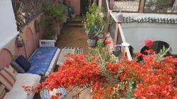 Riad Maizie