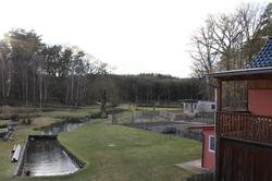 Pension & Gasthaus Kattenstieg