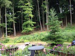Waldhotel Porta Westfalica Garni