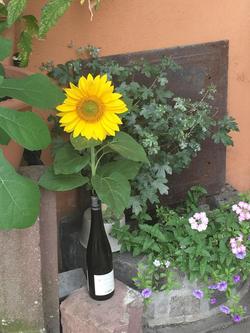 Hotel Gasthof Gruener Wald