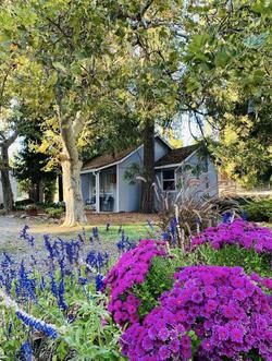 The Pines Motel And Cottages