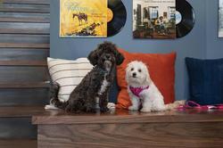 Moxy Nashville Vanderbilt Area