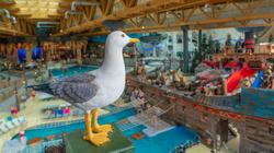 Europa-Park Freizeitpark & Erlebnis-Resort-El Anda