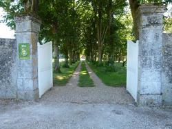 Le Grand Saint-Marc