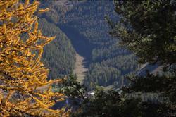 Le Chalet d'Auron
