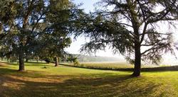 Les Secrets Chateau Pey La Tour