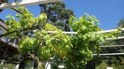 Hotel Les Jardins De Bormes