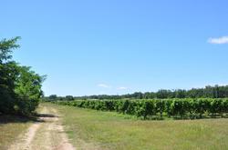 Clos San Gianni