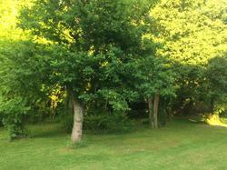 La Belle Relax