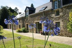 Aux Agapanthes