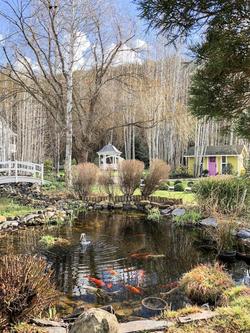 Lithia Springs Resort