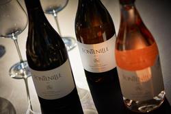 Domaine De Fontenille