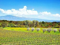 Domaine De La Brave