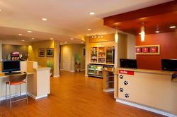 Towneplace Suites By Marriott Jacksonville
