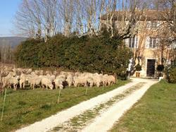 Domaine Le Clos Du Pavillon