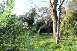 Domaine De Selhac