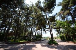 Arsan Otel