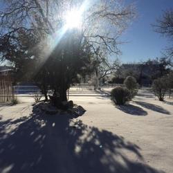 Landhotel Almrefugio