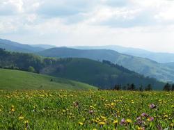 Waldhotel Am Notschreipass