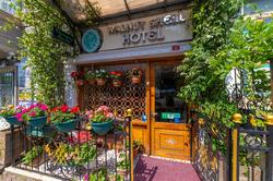 Walnut Shell Hotel
