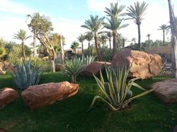 Eden Lodges