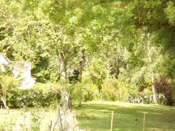 B&B La Ferme Des Bordes