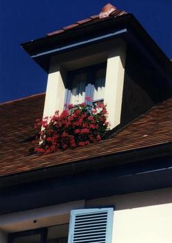 Hotel Pinocchio