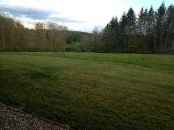 La Claire Forêt