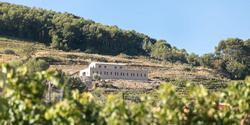 Domaine de la Font des Pères