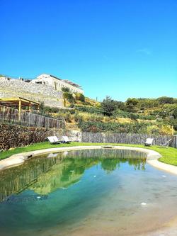 Domaine de la Font des Pères