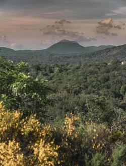 Volvic Organic Resort