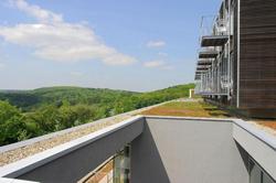 Collegium Glashütten GmbH
