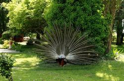Les Chambres d'hôtes - La Faisanderie