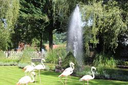 Parkhotel Krone