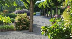 Moulin Renaudiots