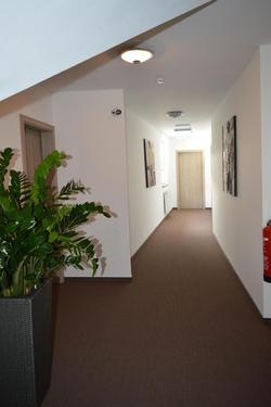 Pension zur Traube
