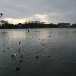 City Center Suites Hannover