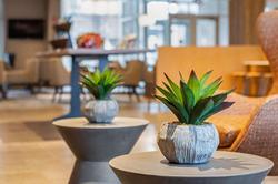 Cambria Hotel Orlando Airport