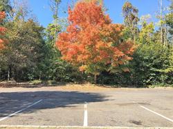 Colts Neck Inn Hotel