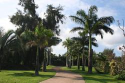 Hawaii Island Retreat