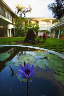 Hawaii Island Retreat