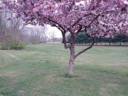 Brook Pointe Inn