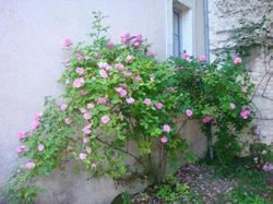 Manoir d'Orbe