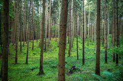 Naturhotel Wittelsbach