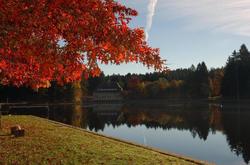 Hotel Waldsee