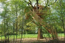 La Cabane Du Vieux Chêne
