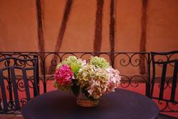 Ombre Rose