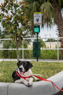 Home2 Suites by Hilton Tampa Westshore Airport