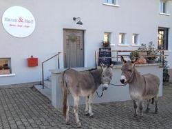 Haus & Hof